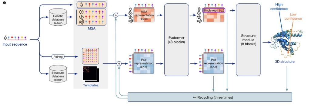 High-level overview of the AlphaFold2 architecture. 