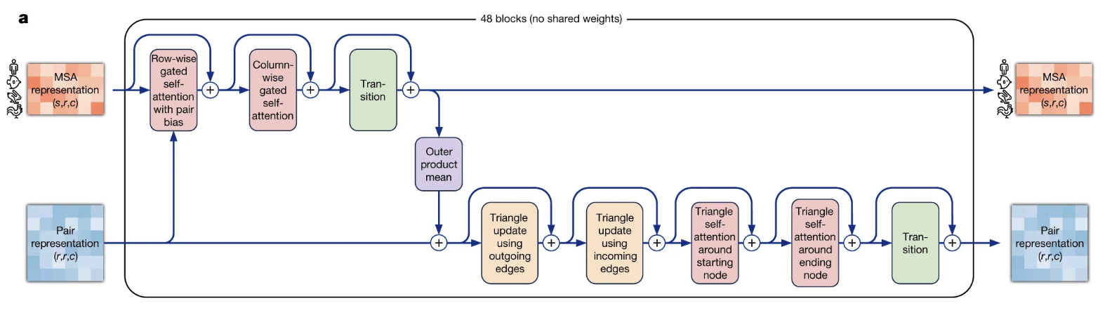 The core logic of an AlphaFold2 Evoformer block. Information is exchanged between the 1D MSA representation and the 2D pair representation. The key innovation is the **triangular self-attention** mechanism within the pair representation, which enforces geometric consistency by reasoning about triplets of residues (i, j, k).