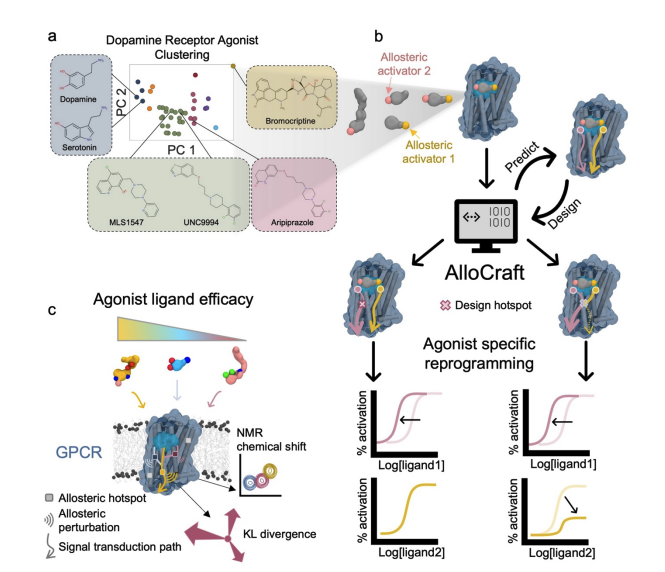 GPCR pathway design — overview schematic