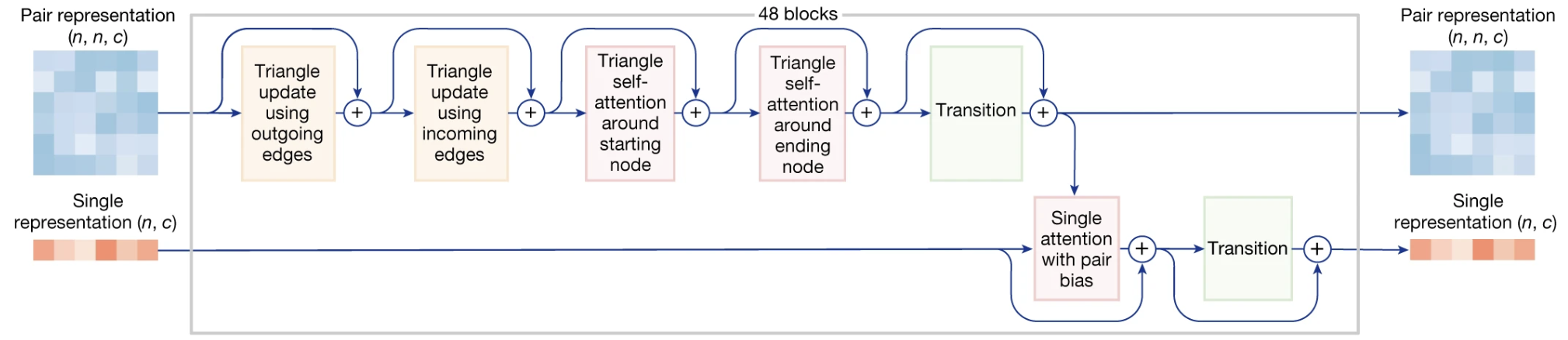 Schematic of a single Pairformer block in AlphaFold 3.