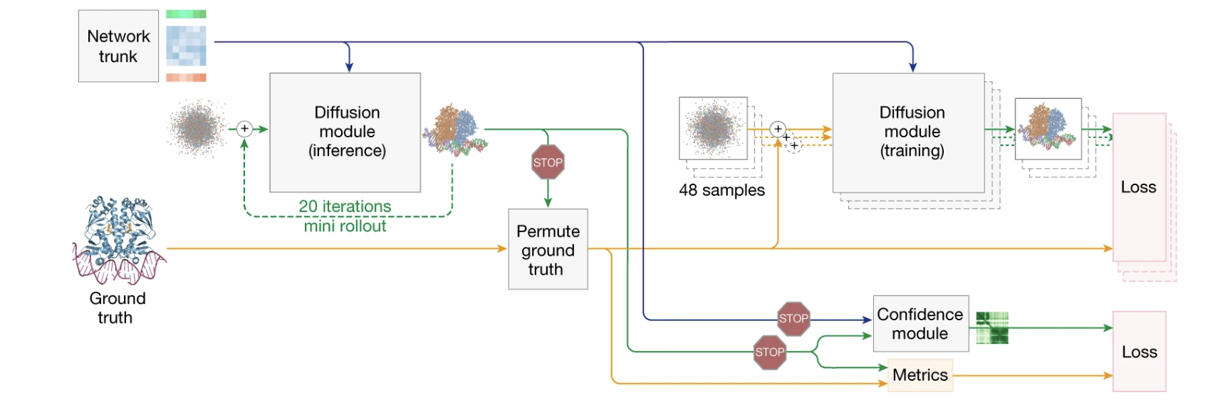Schematic of AlphaFold 3’s dual training pathways for diffusion and confidence.